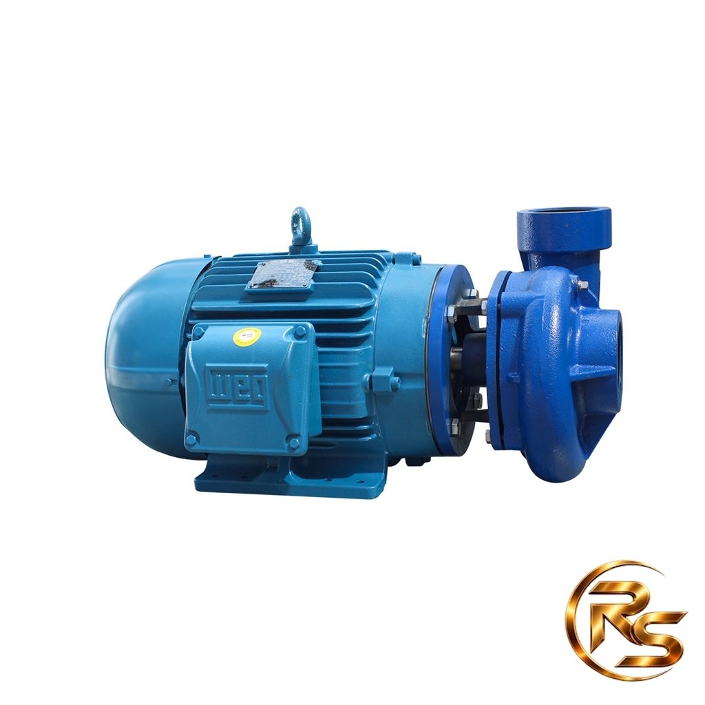 Motobomba Centrífuga Autoaspirante Industrial com Motor WEG Trifásico